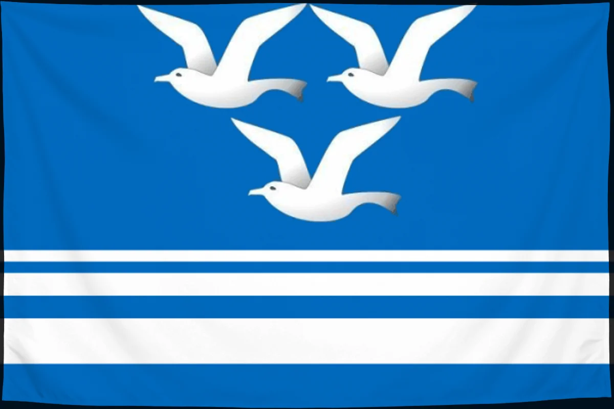 Флаг: Чистоозёрный район